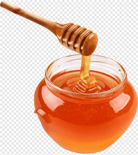 Free download | Honey bee Honey bee Ingredient Food, honey, honey Bee, food png | PNGEgg