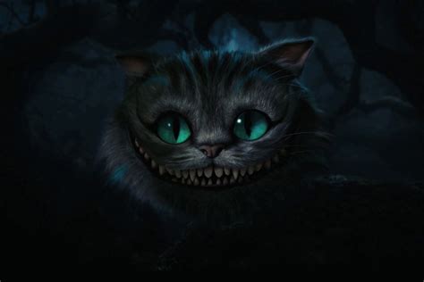 The Cheshire Cat - The Cheshire Cat 1800x1200 - The Cheshire Cat Photo (24278959) - Fanpop