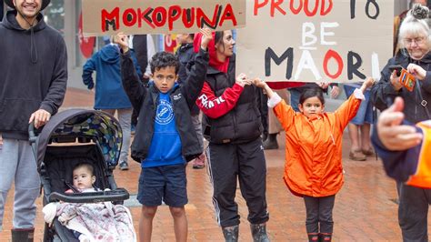 Te Pāti Māori mass protests: Two arrests on Auckland’s motorway, convoy converged on Parliament ...