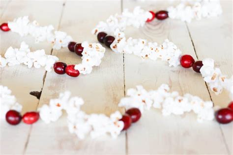 DIY Popcorn & Cranberry Garland - Back Road Bloom