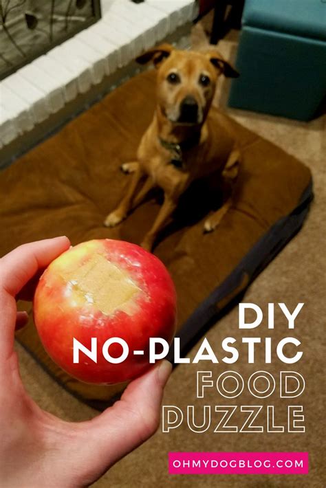 DIY Plastic-Free Food Puzzle for Dogs | Diy dog stuff, Dog puzzles, Diy ...