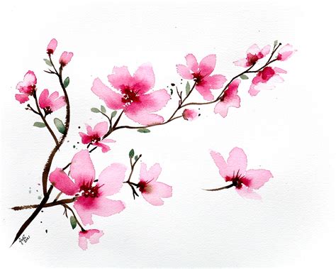 Spring Cherry Blossom Branch Watercolor Print of Original | Etsy