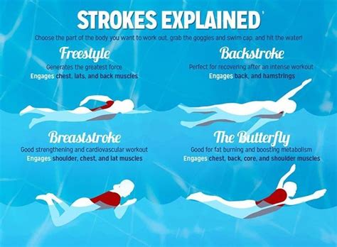 #Swimming strokes explained! [Infographic] #everyswimcounts… | Swimming strokes, Swimming tips ...