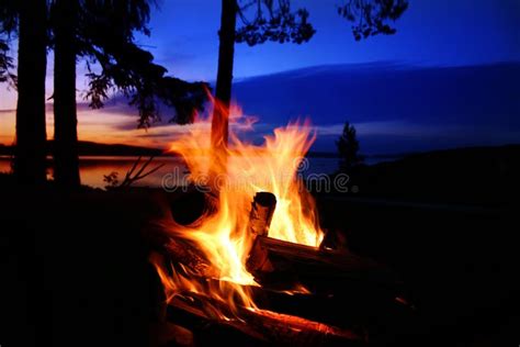 Campfire by a lake stock image. Image of forest, bonfire - 32976411