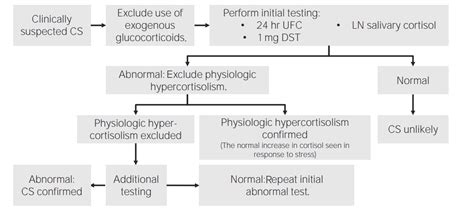 Cushing Syndrome | Concise Medical Knowledge