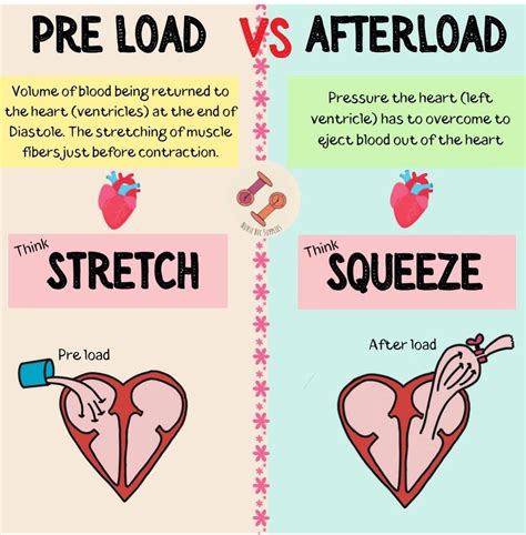 Preload Vs Afterload - MEDizzy