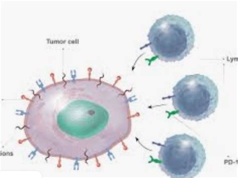 Skin Cancer Biopsy Results How Long Uk