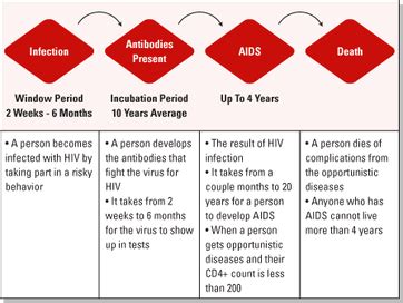 Stages of HIV/AIDS - AIDS/HIV