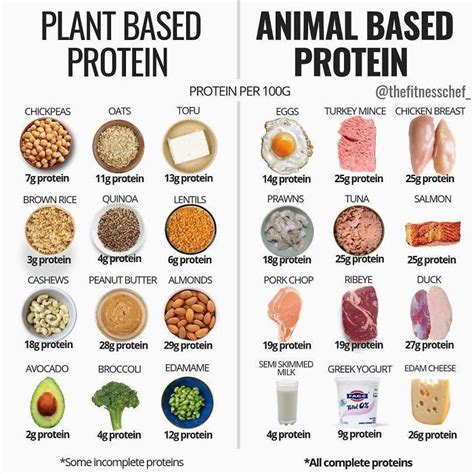 All About The Protein Food Group 101 | Superprof