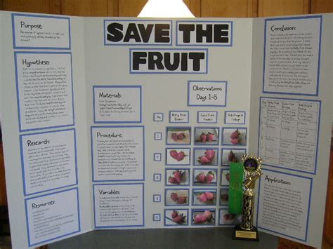 Science Projects For Fifth Graders