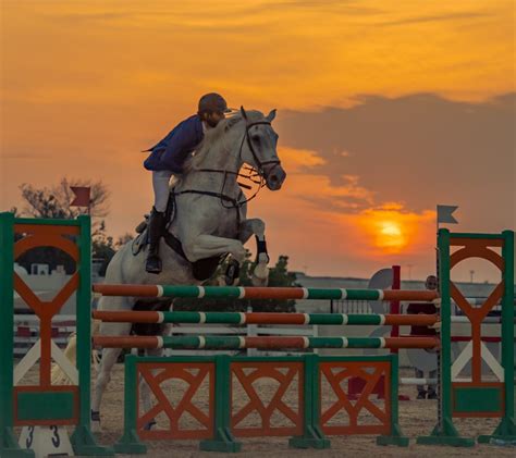 Strong Competitions Witnessed in Open Competitions of National Day Showjumping Championship