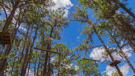 Sarasota Zipline Adventure Course | TreeUmph! Bradenton, FL