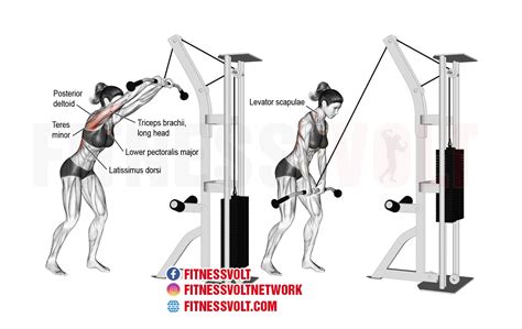 Cable Straight Arm Pulldown: Strengthen Your Lats Effectively ...