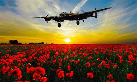 Remembrance Day Military Jets, Military Aircraft, Air Fighter, Fighter Jets, Jordan Painting ...