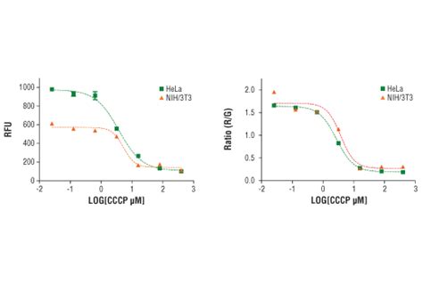 Mitochondrial Membrane Potential Assay Kit (I) | Cell Signaling Technology