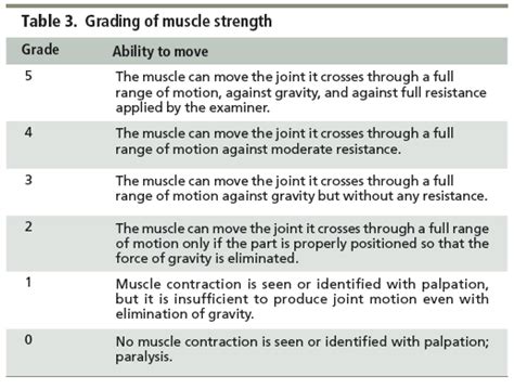 Muscle Grade Chart