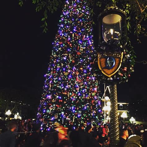 Disneyland - Disneyland Christmas Tree - Eat, Run, Travel!