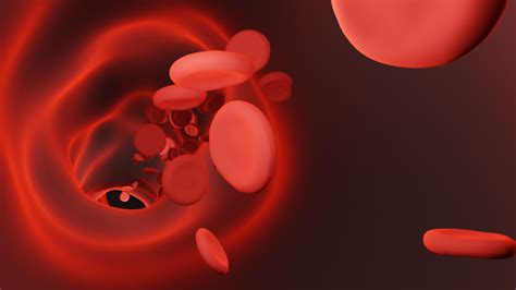 Blood vessel 3D Model in Medical Equipment 3DExport