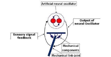 Mechanical system coupled to the neural oscillator | Download Scientific Diagram