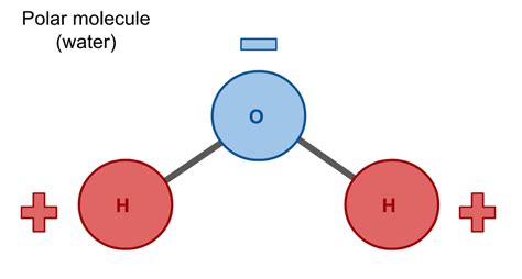 Hydrophobicity