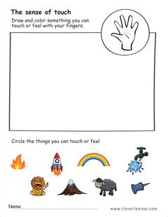 The five senses worksheets for preschools