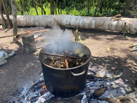 Ayahuasca Retreat Preparation