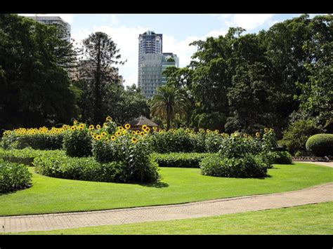 Brisbane City Botanic Gardens self-guided walk, QLD - Walking Maps