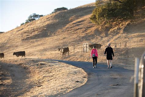 East Bay hikers about to gain new access to 18 miles of trails