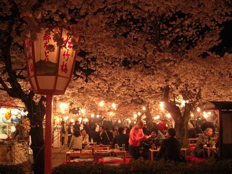 Kyoto is like a best friend: Maruyama Park at night☆