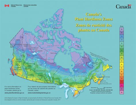 Hardiness Zones | Hardy Fruit Tree Nursery