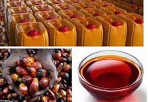 Nigeria’s palm oil imports from Malaysia increased by 65.3% – Report ...