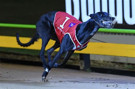 Favourite wins world's richest greyhound race