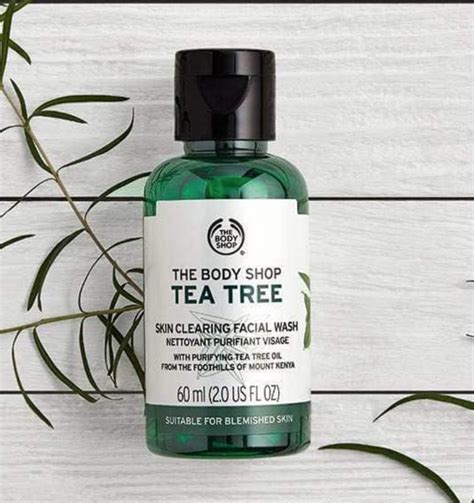 25 Best Eyelash Mites Treatment Tea Tree Oil - Demodectic Mange