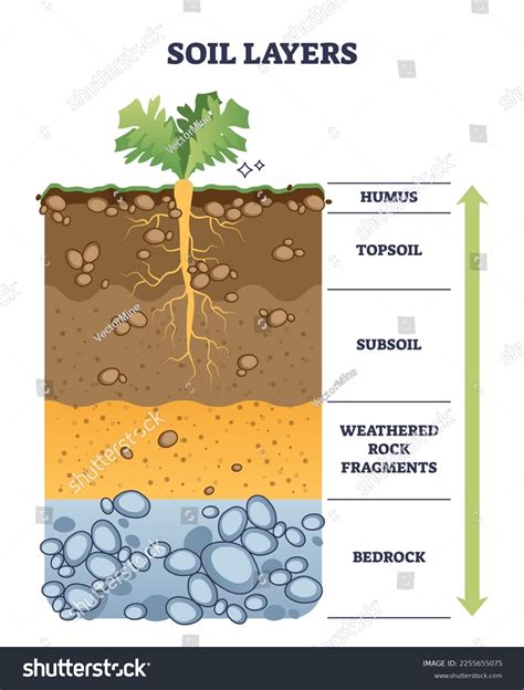 Soil Layers Geological Ground Structure Materials Stock Vector (Royalty Free) 2255655075 ...