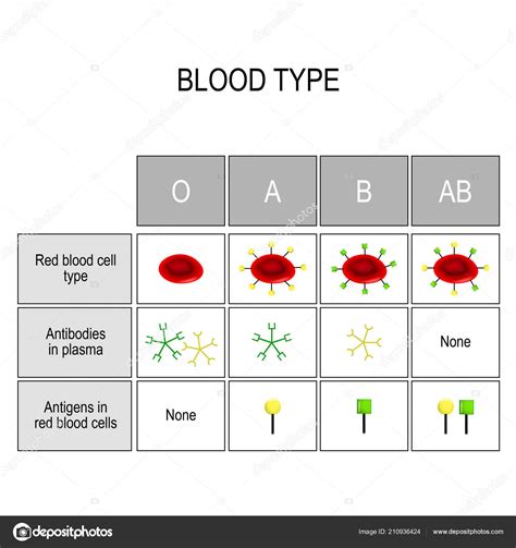 Blood Antigen Chart