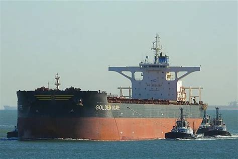 Newcastlemax Bulk Carrier: A Closer Look - Maritime Page