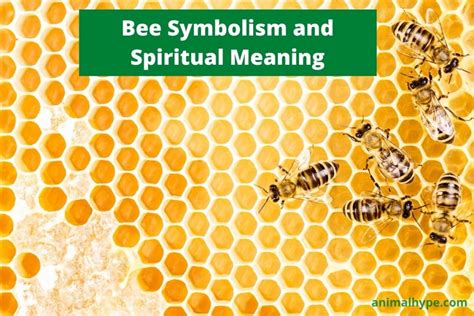 Bee Symbolism and Meaning (Totem, Spirit and Omens) - Animal Hype