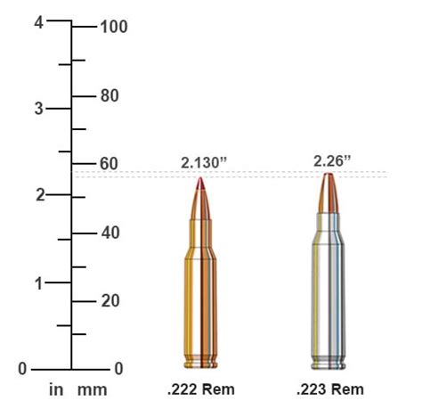 222 Rem vs 223 Rem Ballistics Comparison | Sportsman's Warehouse