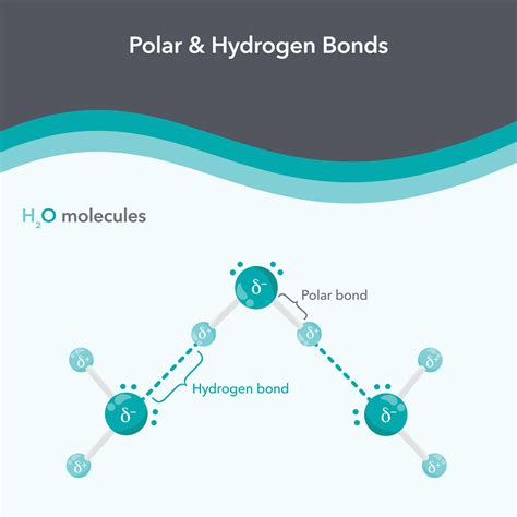 Polar and Hydrogen Bonds chemistry vector illustration diagram 26586275 ...