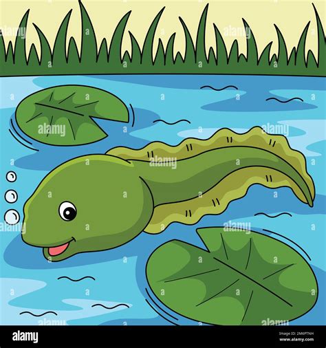 Tadpole Animal Colored Cartoon Illustration Stock Vector Image & Art ...