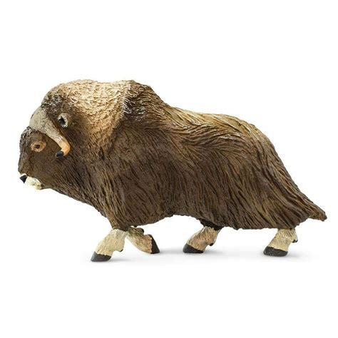 Muskox Toy | Wildlife Animal Toys | Safari Ltd®