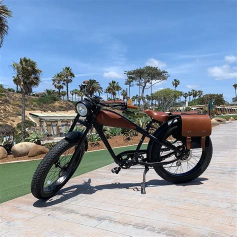 2019 Vintage Electric Cruiser Bike Fat Tire Leopard Electric Bicycle ...