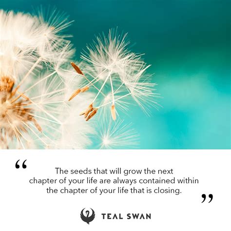 Next Chapter - Quotes - Teal Swan