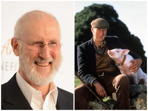 'Succession' star James Cromwell helped rescue a pig that escaped on ...