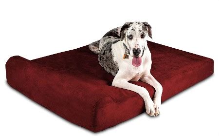 8 Best Dog Beds for Hip Dysplasia in 2024 - Reviews & Top Picks | Pet Keen