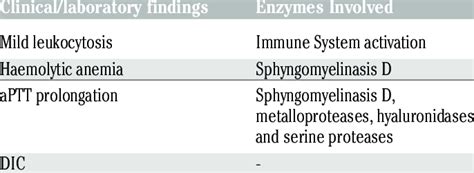 Hematological complications after violin spider bite after references ...