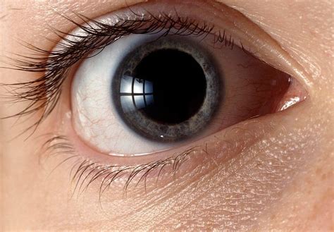 What to Expect When We Dilate Your Eyes | Hunterlaservision