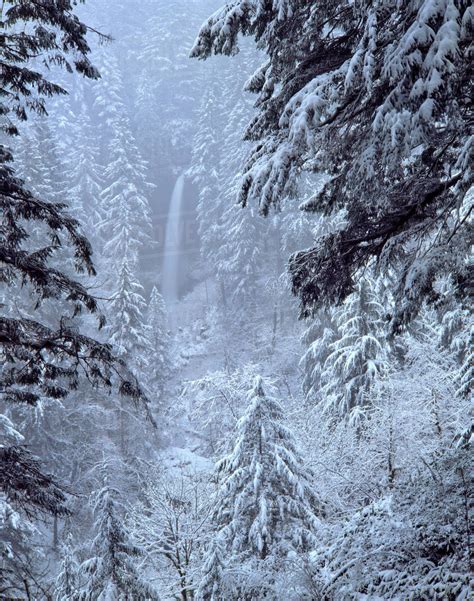 USA, Oregon, Silver Falls State Park. North Falls in winter snow ...