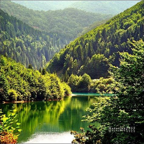 Zlatar Lake, Serbia | Serbia! | Pinterest