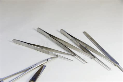 Medical Pincers stock image. Image of steel, medical, teeth - 68479